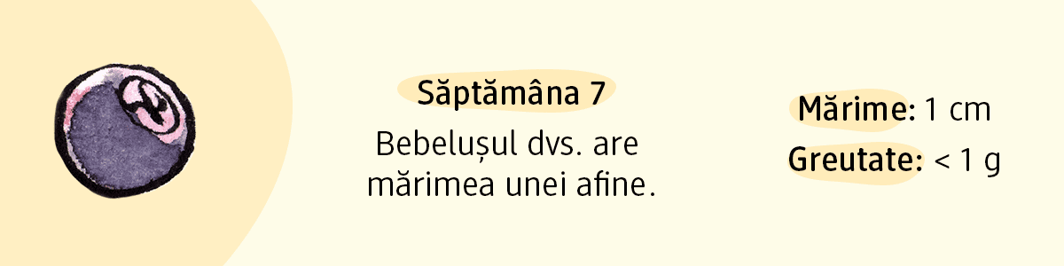 Text despre mărime 1 cm și greutate mai mică de 1 g