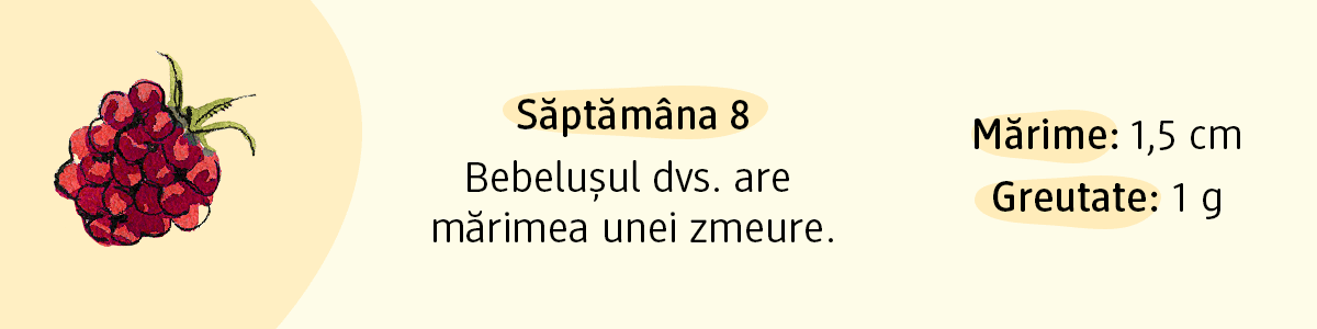 Text cu mărime 1,5 cm și greutate 1 g