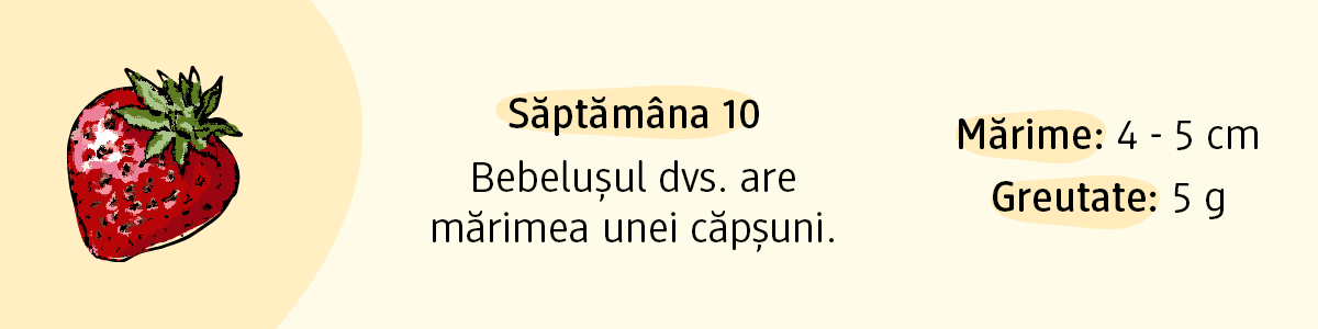 Săptămâna 10 bebelușul are mărimea unei căpșuni