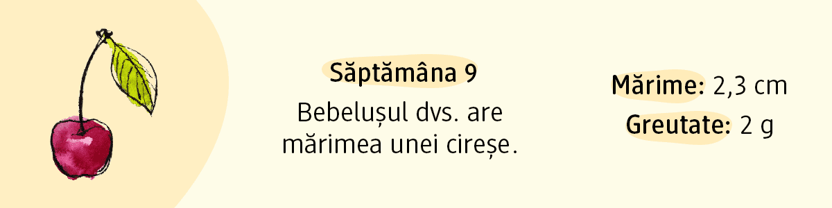 Dimensiuni: mărime 2,3 cm și greutate 2 g