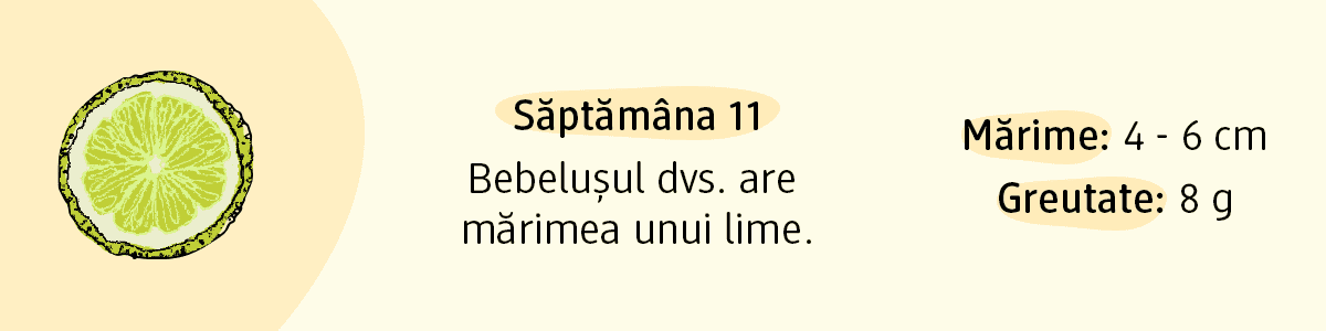 Săptămâna 11 mărimea bebelușului cât un lime