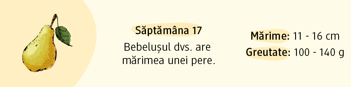Săptămâna 17 bebelușul dvs are mărimea unei pere