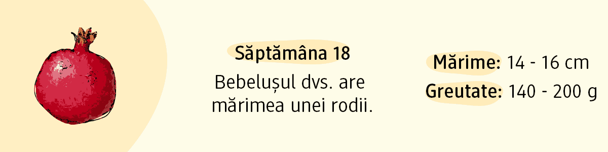 Săptămâna 18 mărimea unei rodii