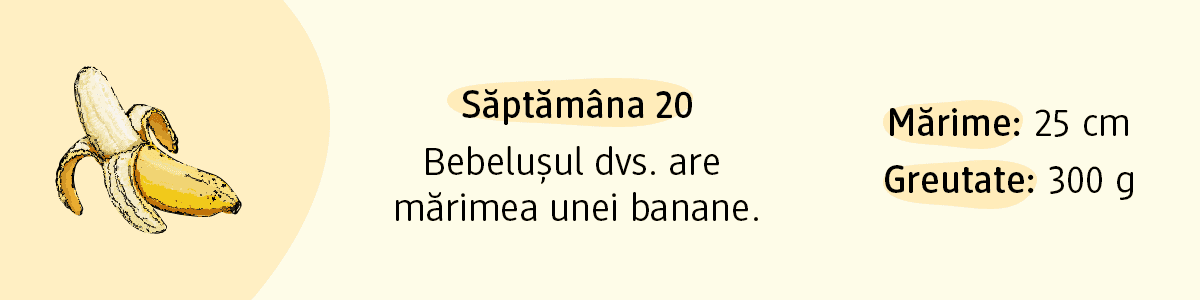 Săptămâna 20 mărimea unei banane