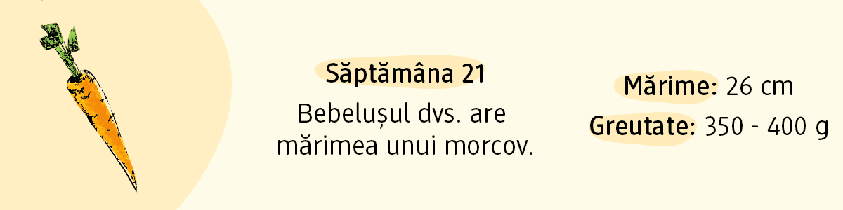 Săptămâna 21 mărimea bebelușului cât un morcov