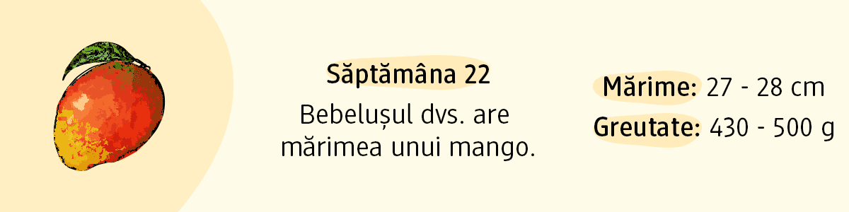Săptămâna 22 bebelușul are mărimea unui mango