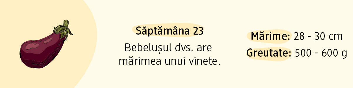 Săptămâna 23 mărimea unui vinete pentru bebelușul dvs