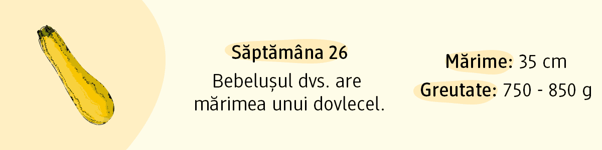Săptămâna 26 bebelușul are mărimea unui dovlecel