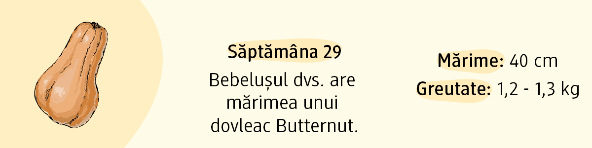 Săptămâna 29 bebelușul are mărimea unui dovleac Butternut