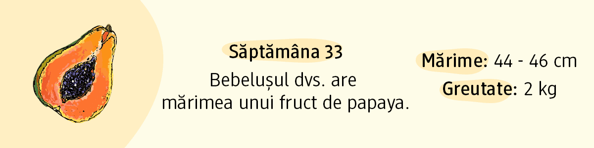 Săptămâna 33 dimensiunea bebelușului comparată cu un fruct de papaya