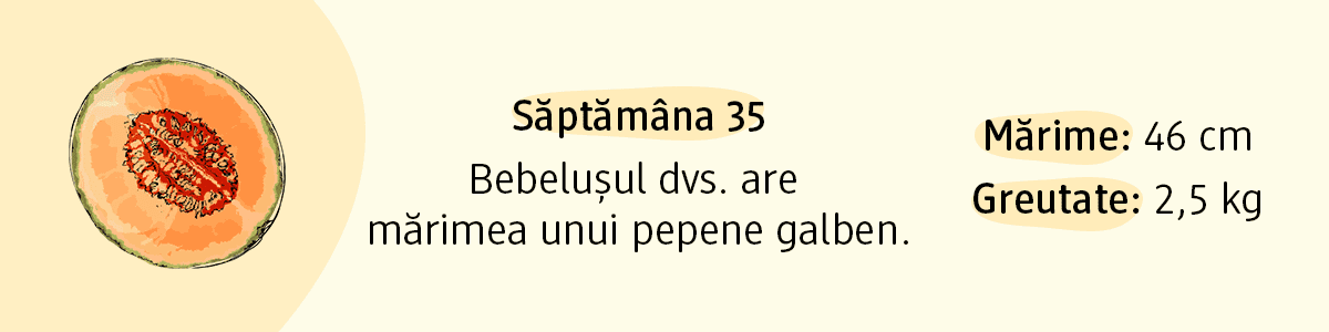 Săptămâna 35 dimensiunea bebelușului pepene galben