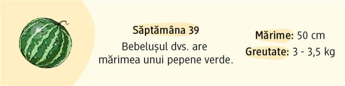 Săptămâna 39 mărimea bebelușului comparată cu un pepene verde