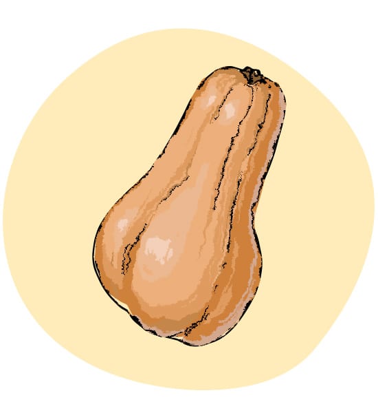 Butternusskürbis