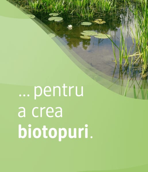 Text pe fundal verde cu plante acvatice pentru biotopuri
