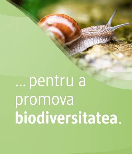 Melc pe o piatră cu text despre promovarea biodiversității.
