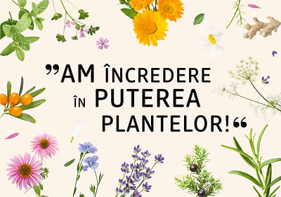 Am încredere în puterea plantelor!