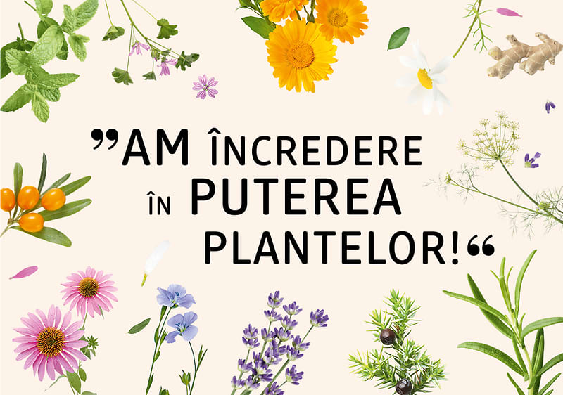 Am încredere în puterea plantelor!