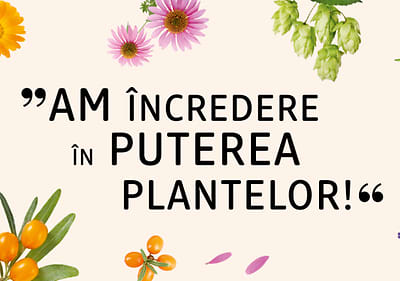 Cele mai cunoscute și utilizate plante