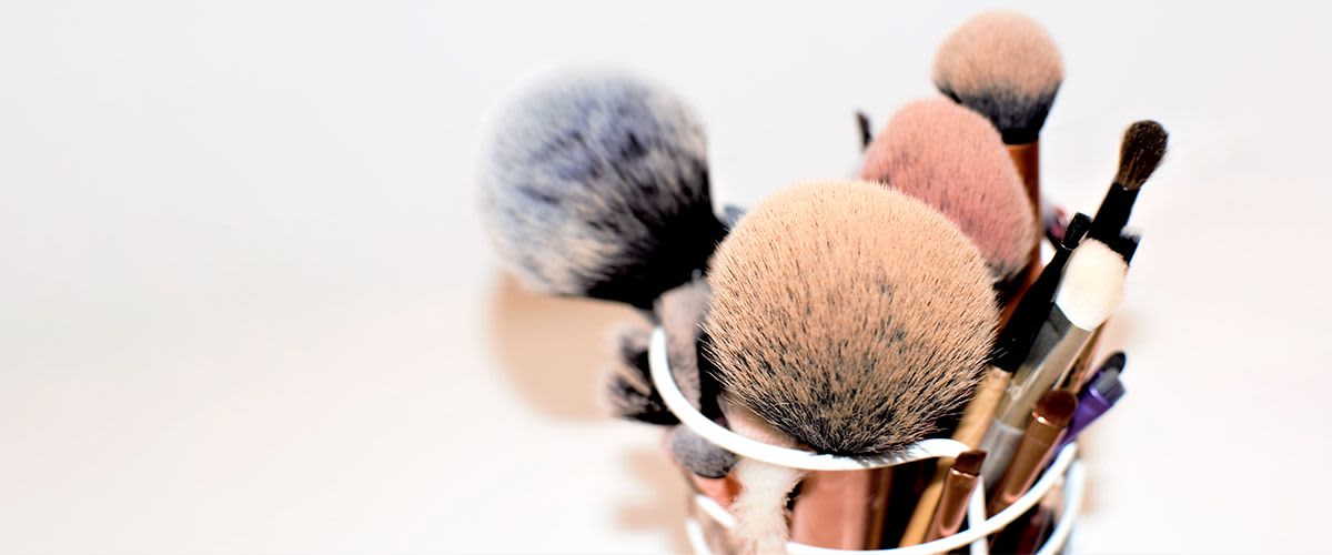 pensule de machiaj