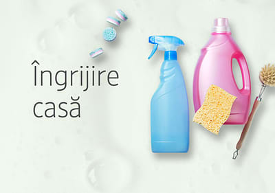 Îngrijire casă