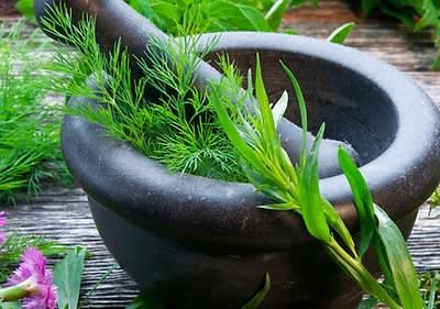 Ierburi și plante în cosmetica naturală 