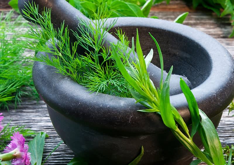 Ierburi și plante în cosmetica naturală 