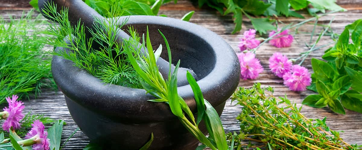 Ierburi și plante în cosmetica naturală