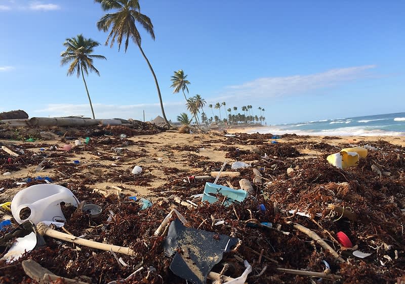 SEINZ. și "The Plastic Bank" 