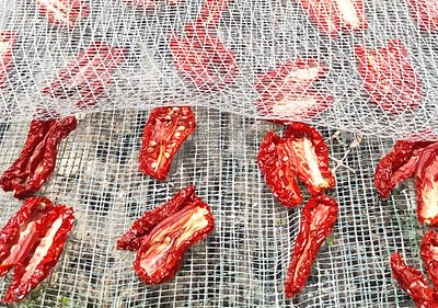 dmBio excursie de plăcere în Italia