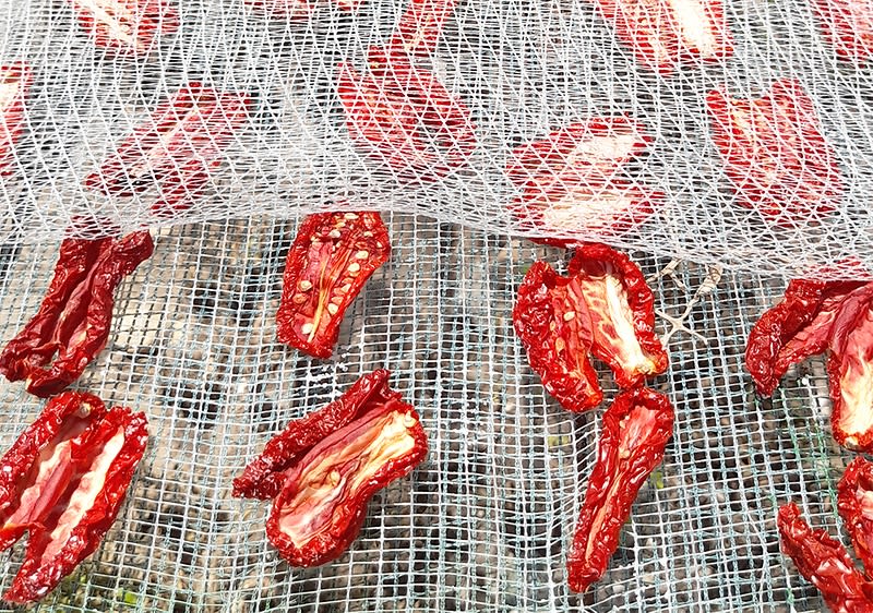 dmBio excursie de plăcere în Italia