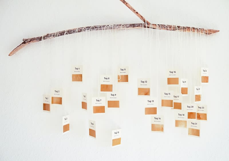 Komplimente Adventkalender auf Ast