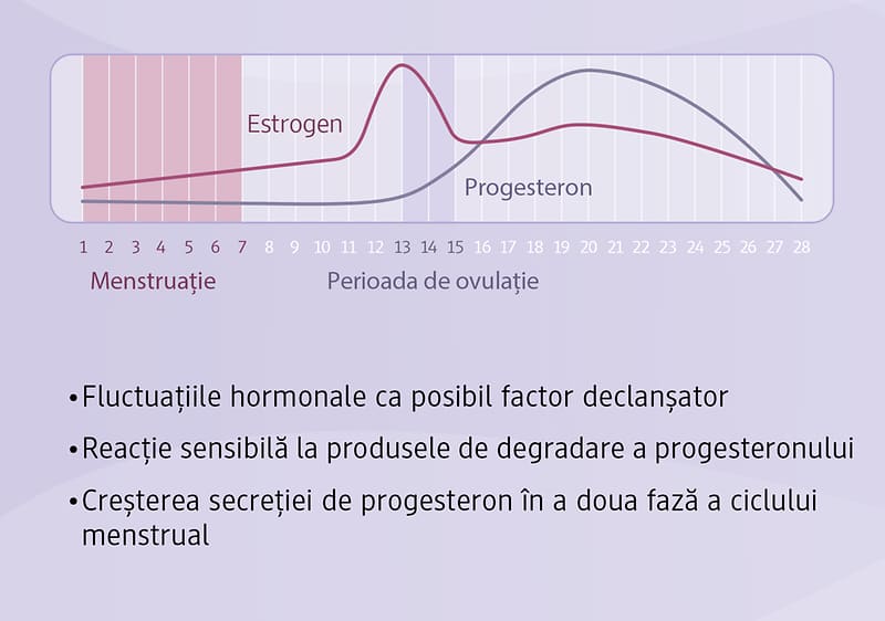 Zyklusbasiertes Training: Follikelphase