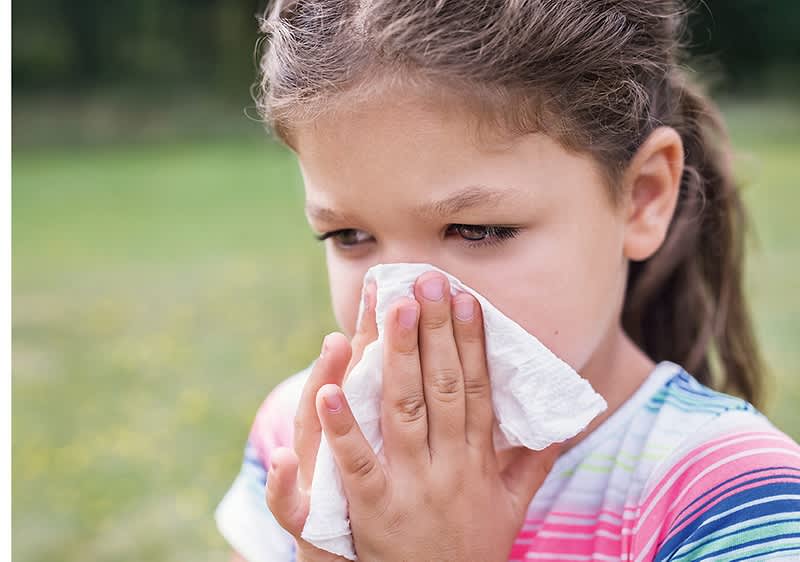 Junges Maedchen mit Taschentuch bei Nase auf einer Wiese