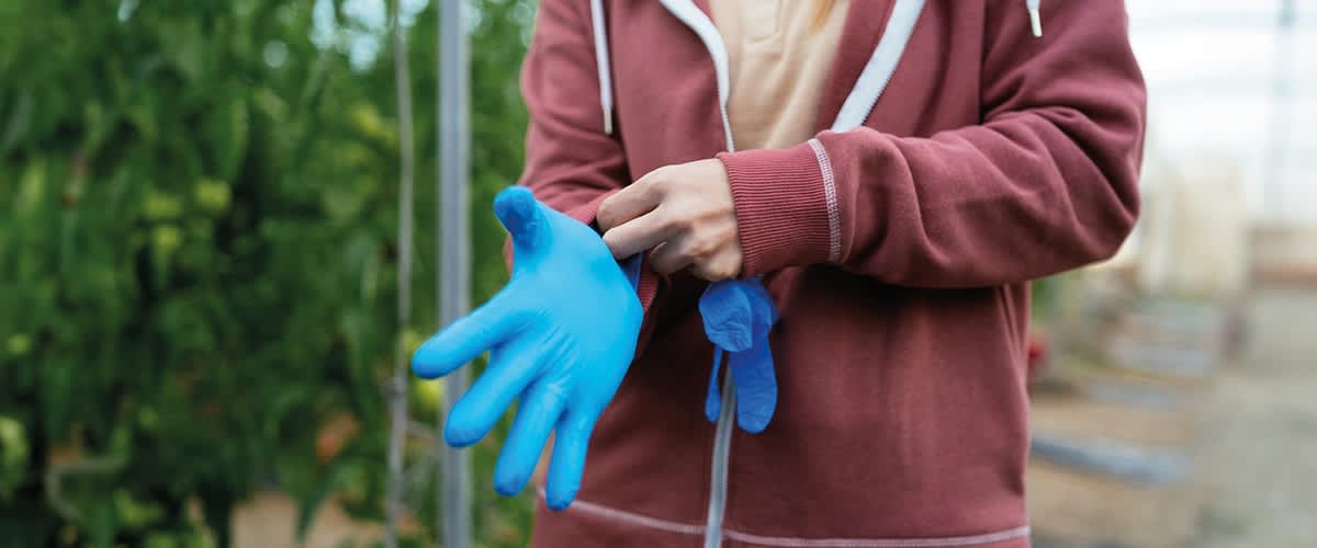 Frau mit blauen Gummihandschuhen