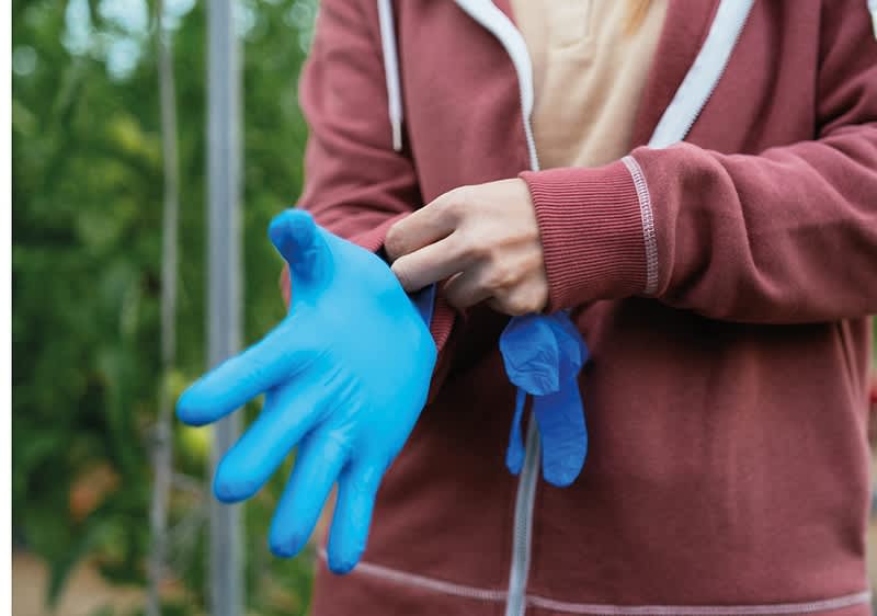 Frau mit blauen Gummihandschuhen