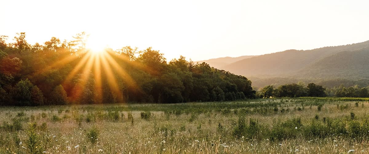Landschaft mit Sonnenschein