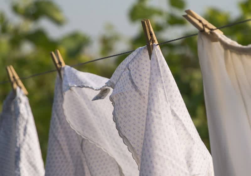 Rufe albe pe sfoară în aer liber