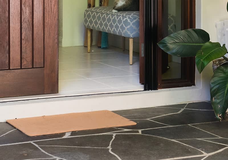 Covoraș de intrare pe terasă cu ușă deschisă și plantă decorativă