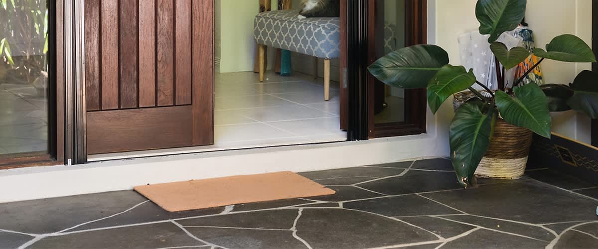 Covoraș de intrare pe terasă cu ușă deschisă și plantă decorativă