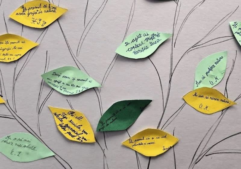 Persoane la un eveniment sportiv interacționând cu un panou de activități