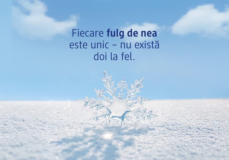Fulg de nea unic pe zăpadă sub cer albastru cu mesaj despre unicitatea fulgilor de nea