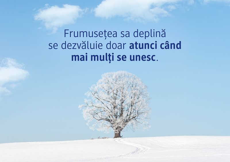 Copac acoperit de zăpadă pe câmp alb cu cer albastru și text motivațional