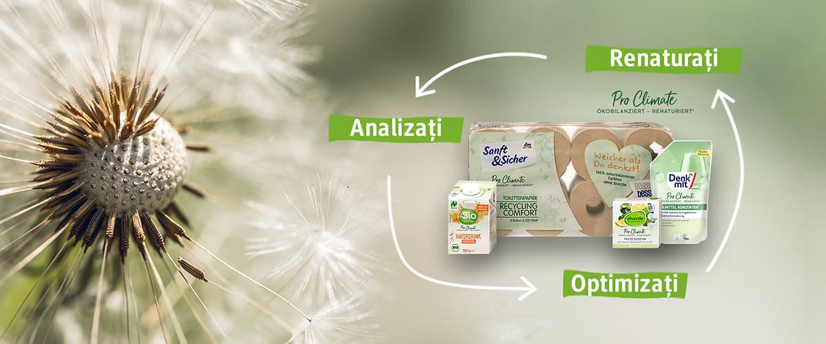 Imagine cu produse ecologice pentru uz casnic și igienă personală.