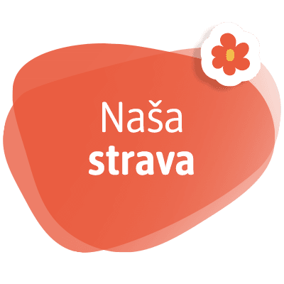 Naša strava