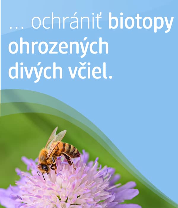 obrázok včiel a textom:...ochrániť biotopy ohrozených divých včiel.