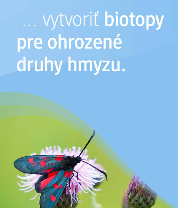 motýľ a text:... vytvoriť biotopy pre ohrozené druhy hmyzu.