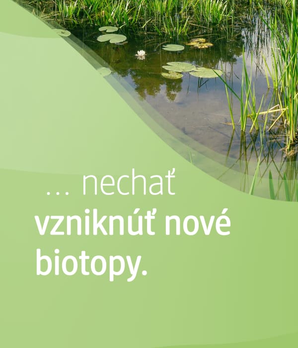 lekná a text:... nechať vzniknúť nové biotopy.