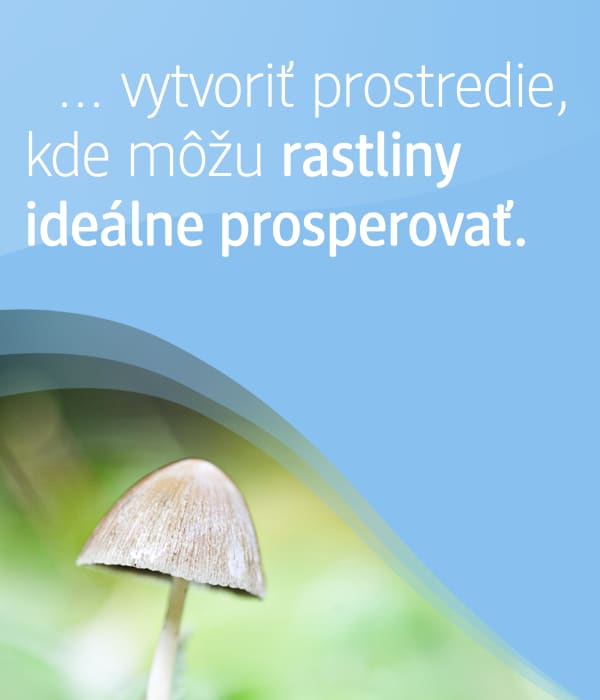 hríb v tráve a text:... vytvoriť prostredie, kde môžu rastliny ideálne prosperovať.