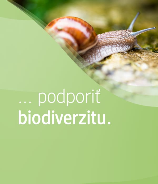 slimák na kameni a text:... podporiť biodiverzitu.