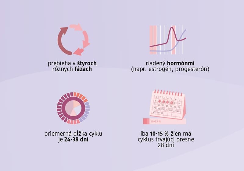 Menštruačný cyklus